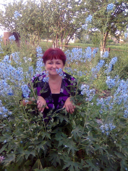 Василя Салпыкова