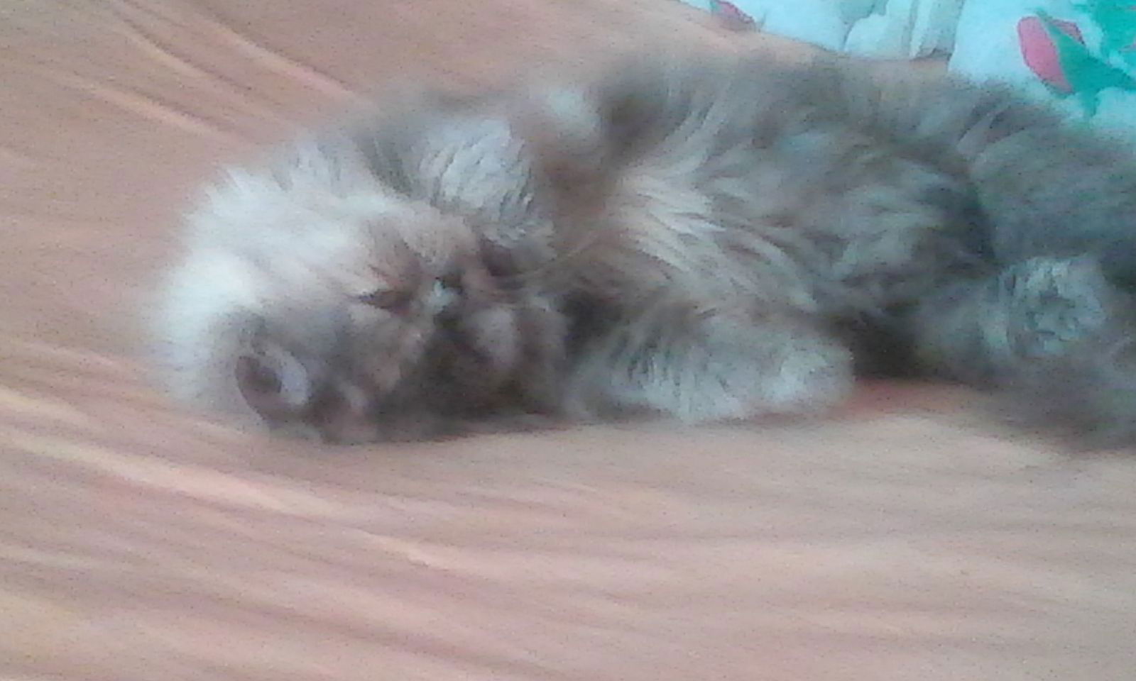 Сергей Авдеев