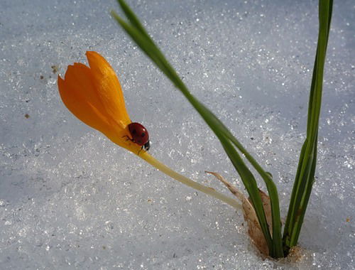 Наталья Ковалина