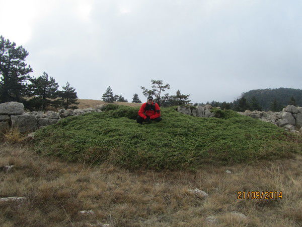 Андрей Ткаченко