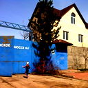 Дима Шешуков