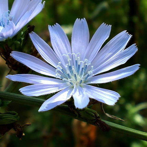 Виктория Валерьевна