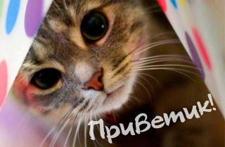 Николай Крылов