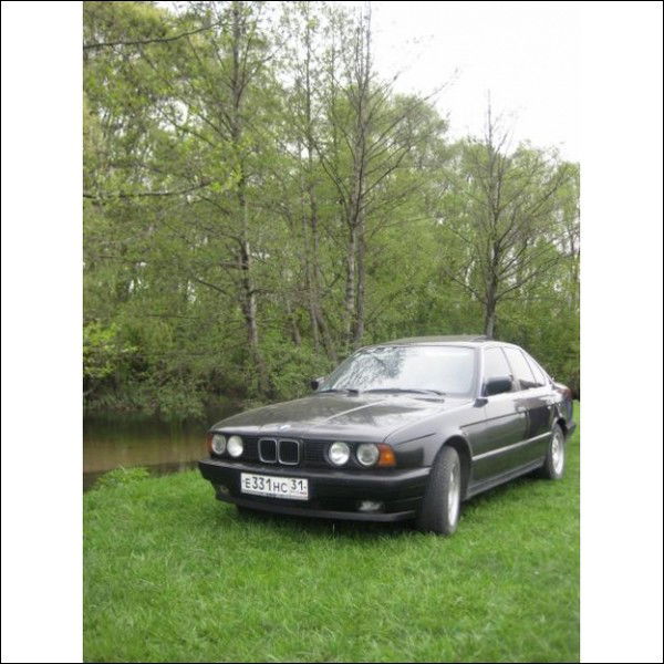 Владимир Вальков