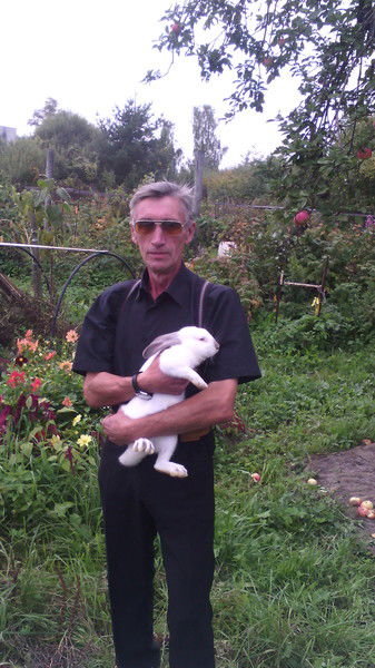 Гена Новиков