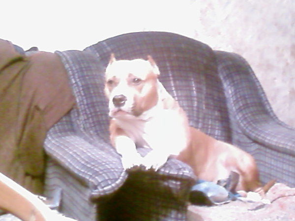 Евгений Губков