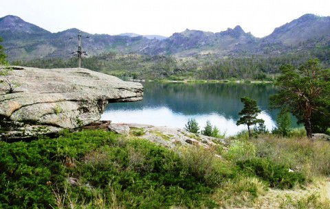 Анар Абуова