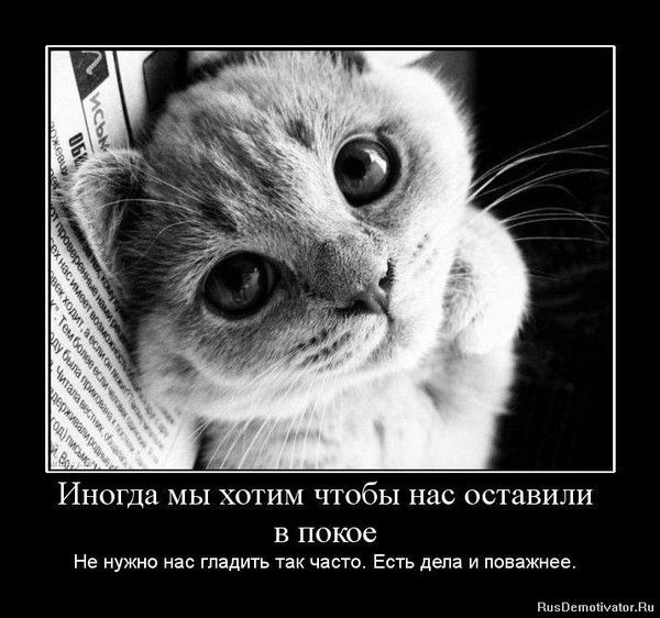 *настя* *борн*