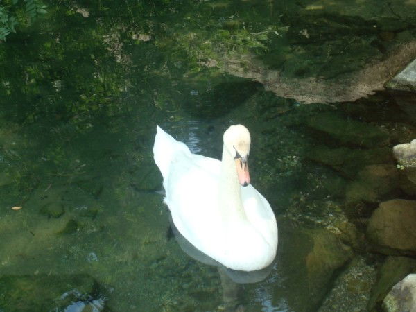 Наталия Филимонова