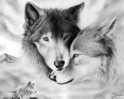 Настя Кадочникова