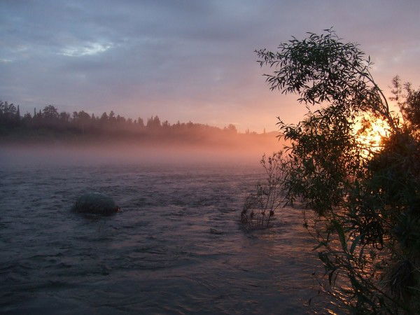 Павел Дорошенко