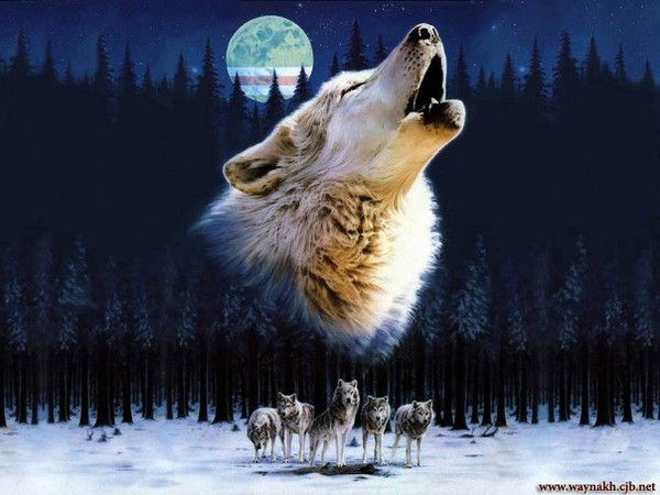 Костян Брыкалов