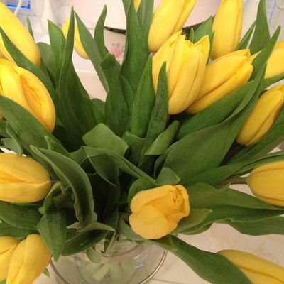 Лилия Баишева