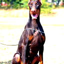 Андрей Клементьев