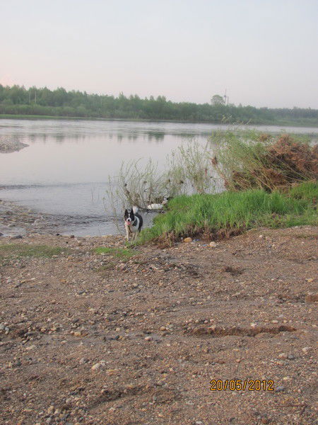 Александр Мардаровский