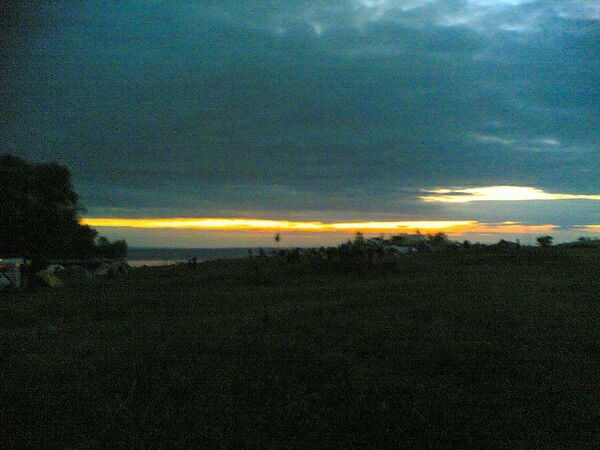 Александр Кашин