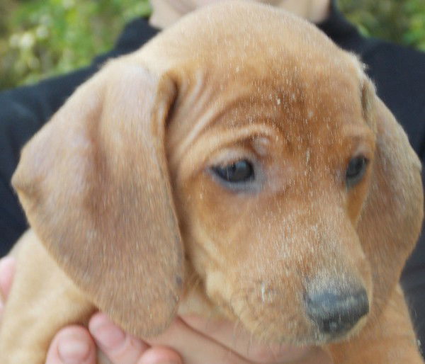 Викторина Парамонова