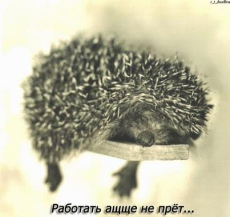 Артем Курганов