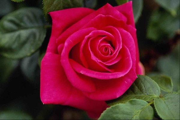 Айжан Кылышбаева