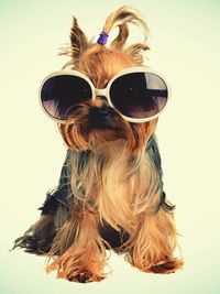 Диана Давлетшина