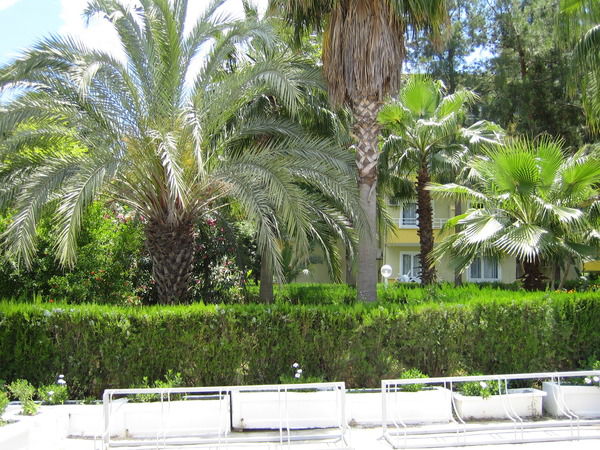 Эдик Паутов