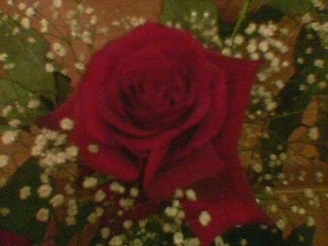 Ульяна Голубева