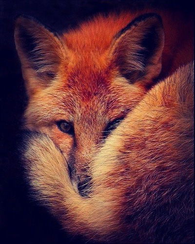 Милена Саубанова