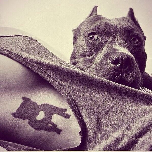 Сергей Мокрецов