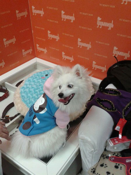 Ольга Корнева