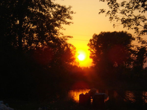 Дашенька Ротина