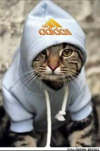 Никита Яковлев