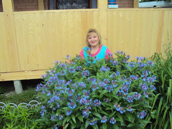 Галина Евграфова