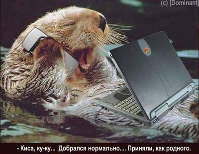 Александр Усольцев