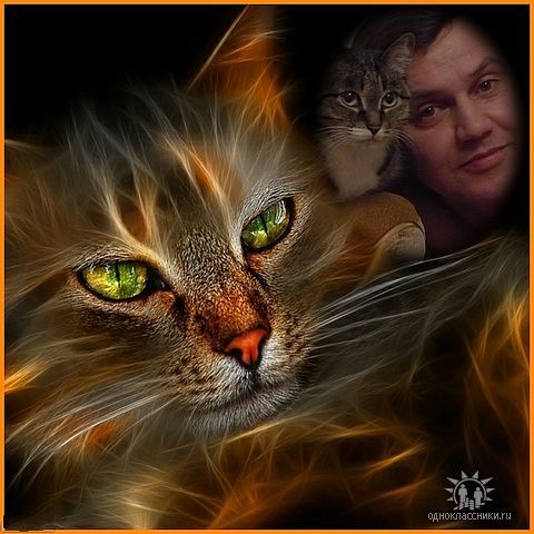 Сергей Водин