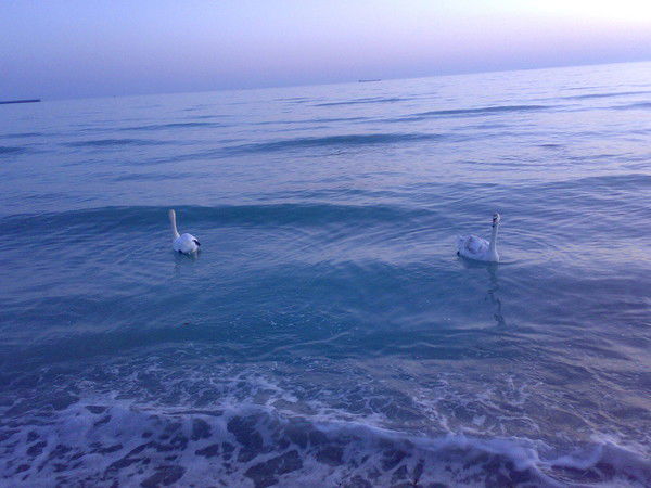 Вячеслав Марч