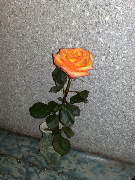 Антонина Данилова