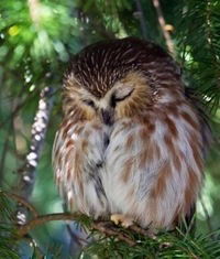 Настя Мишнева