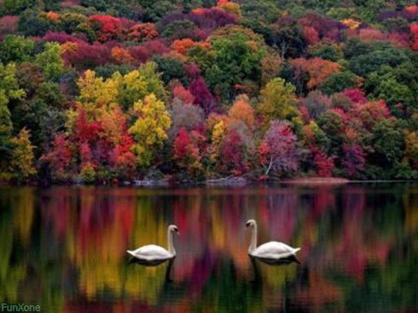 Зулейха Гаджиева