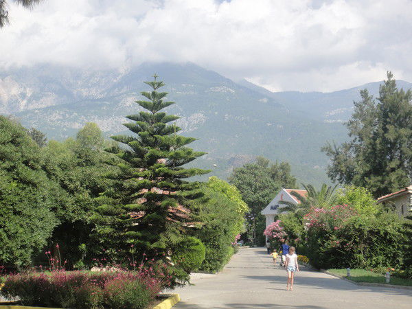 Ирина Комкова