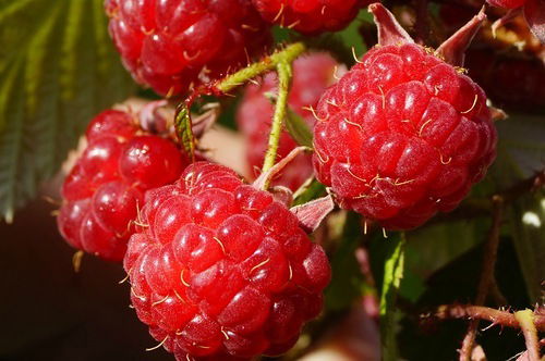 Неизвестно Неизвестно