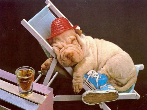 Шаргия Ильясова