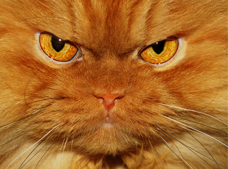 Ленуськ@ Зверева