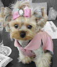 Эльвира Шагеева