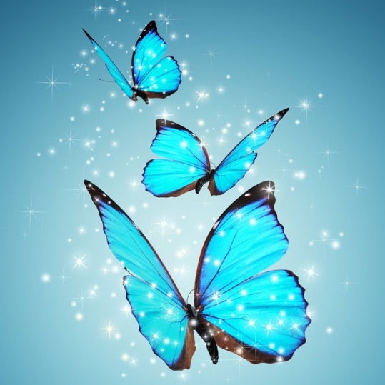 Елена Сизова