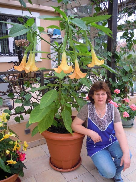 Инна Мазурок