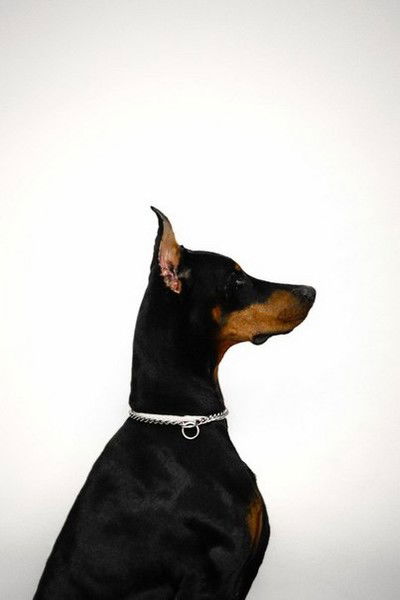 Иван Люшный