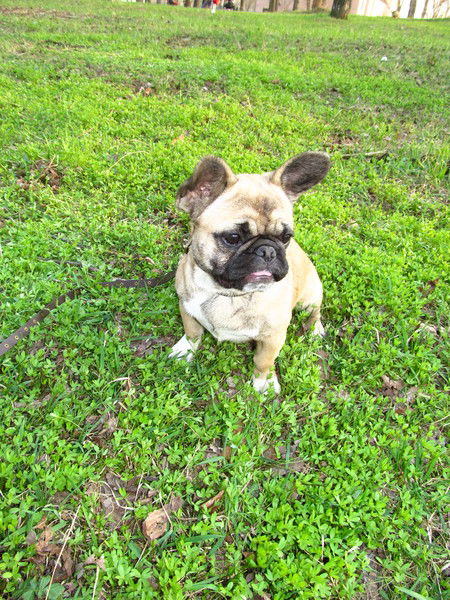 Лариса Назаренко