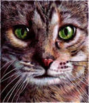 Гала Прутовых