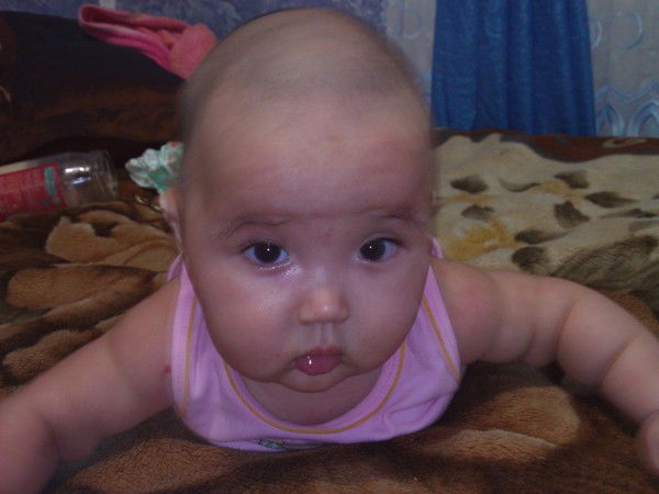 Дамир Назым Бековы