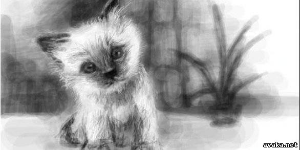 Анна Конькова